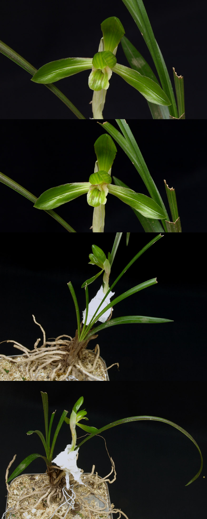 ������ ū������ �� �� �ֽ��ϴ�.