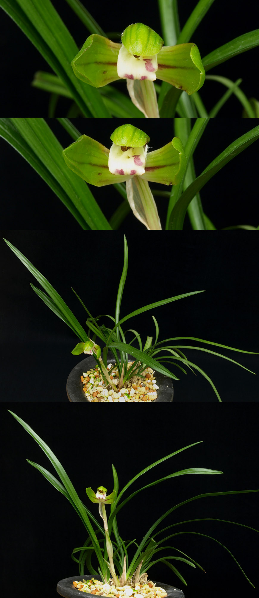 ������ ū������ �� �� �ֽ��ϴ�.