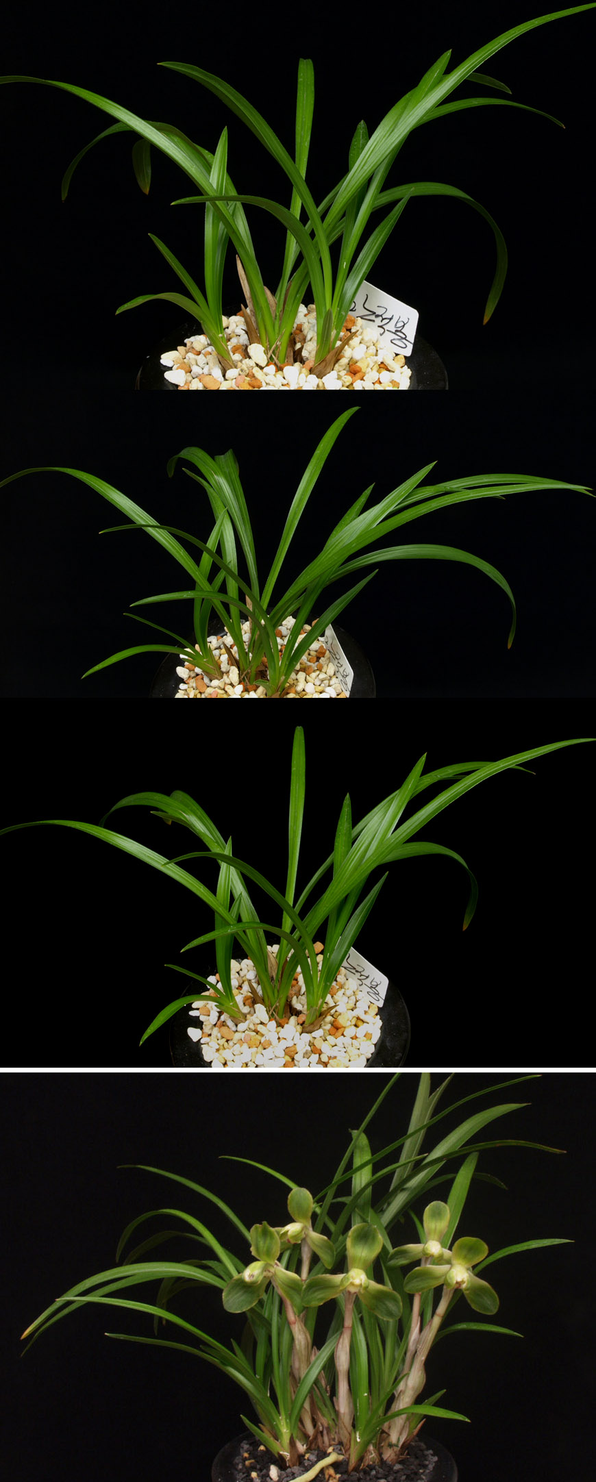 ������ ū������ �� �� �ֽ��ϴ�.