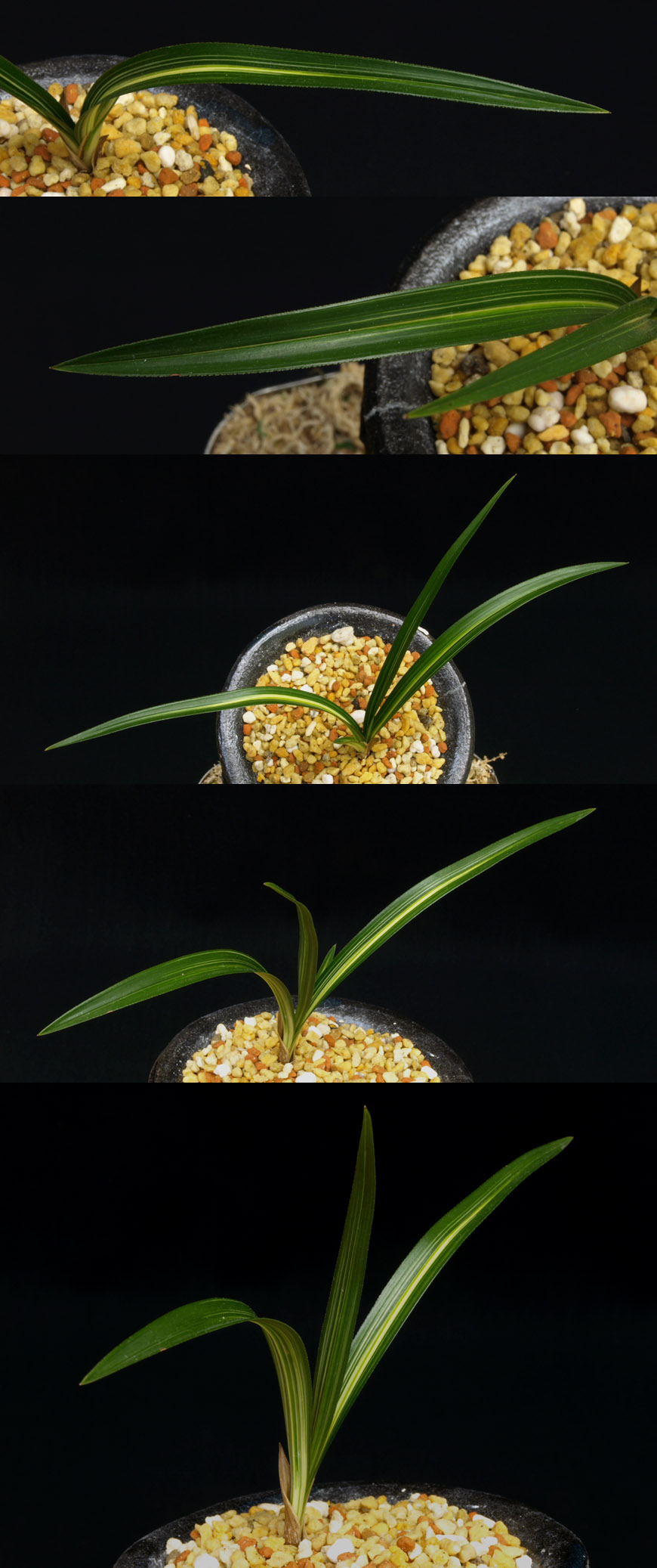 ������ ū������ �� �� �ֽ��ϴ�.