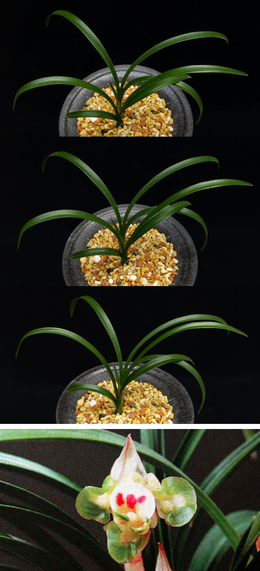 ������ ū������ �� �� �ֽ��ϴ�.