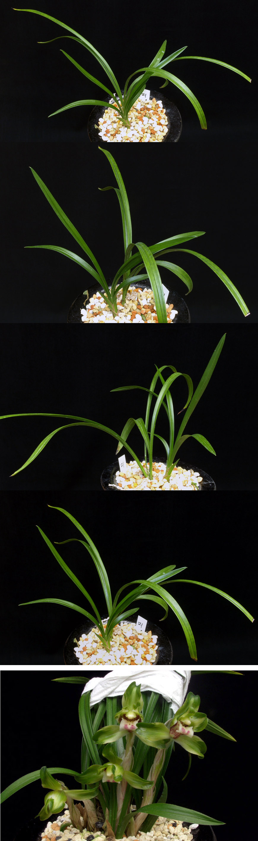 ������ ū������ �� �� �ֽ��ϴ�.