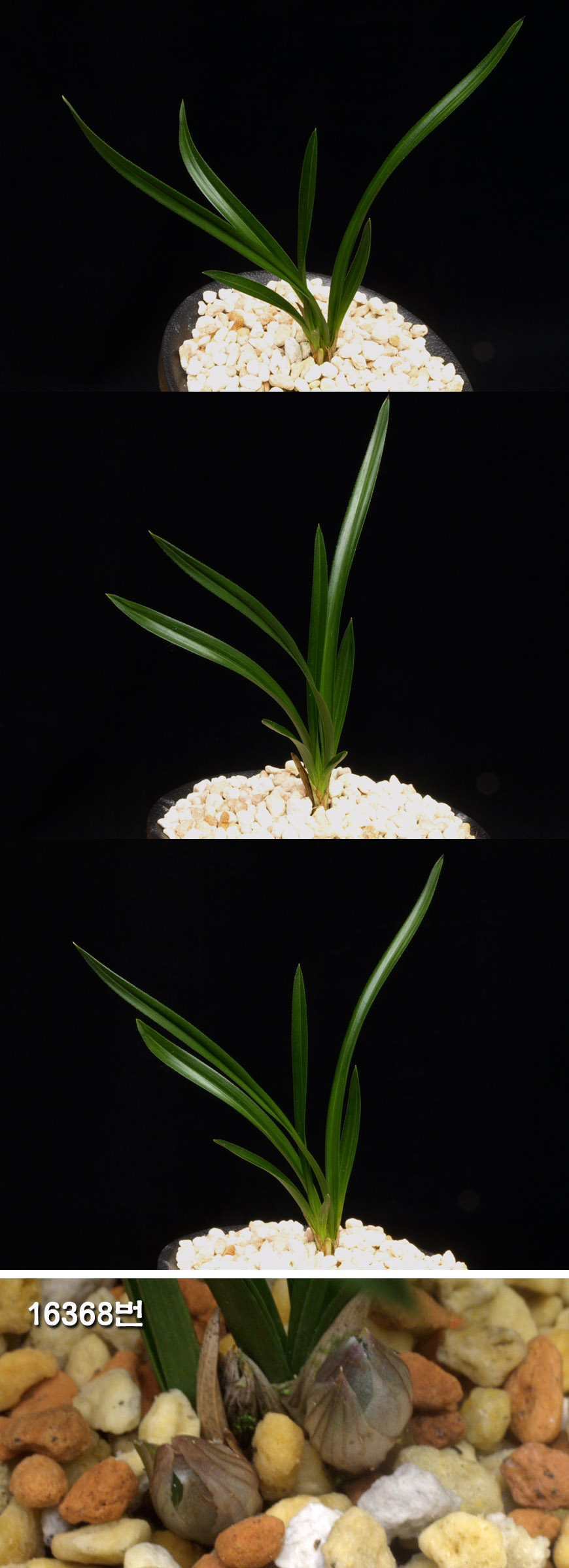 ������ ū������ �� �� �ֽ��ϴ�.