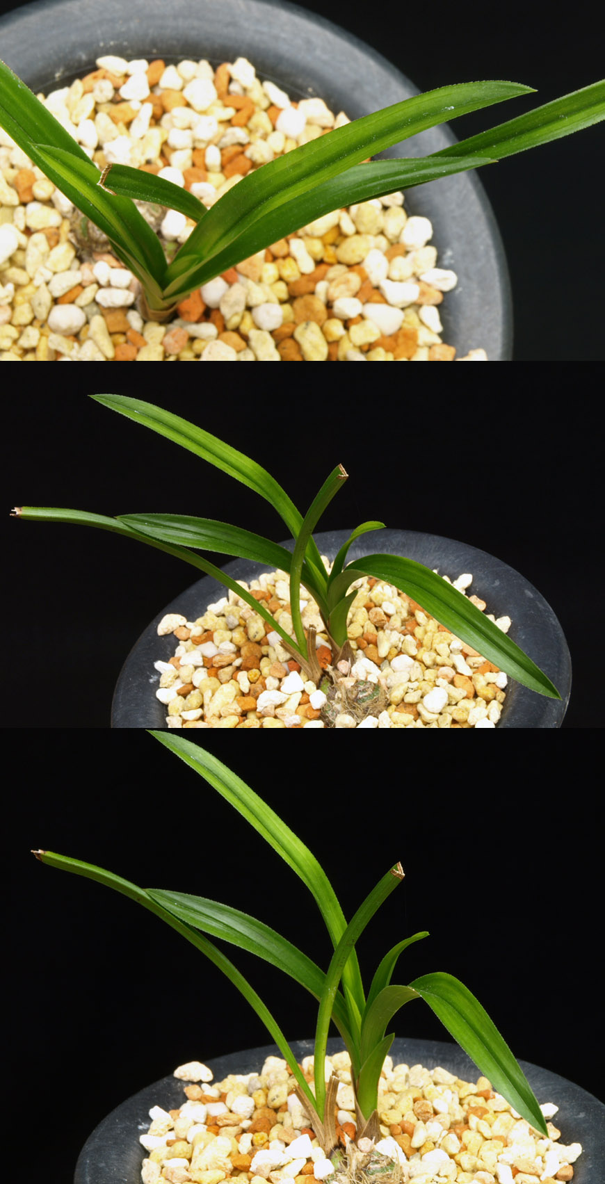 ������ ū������ �� �� �ֽ��ϴ�.