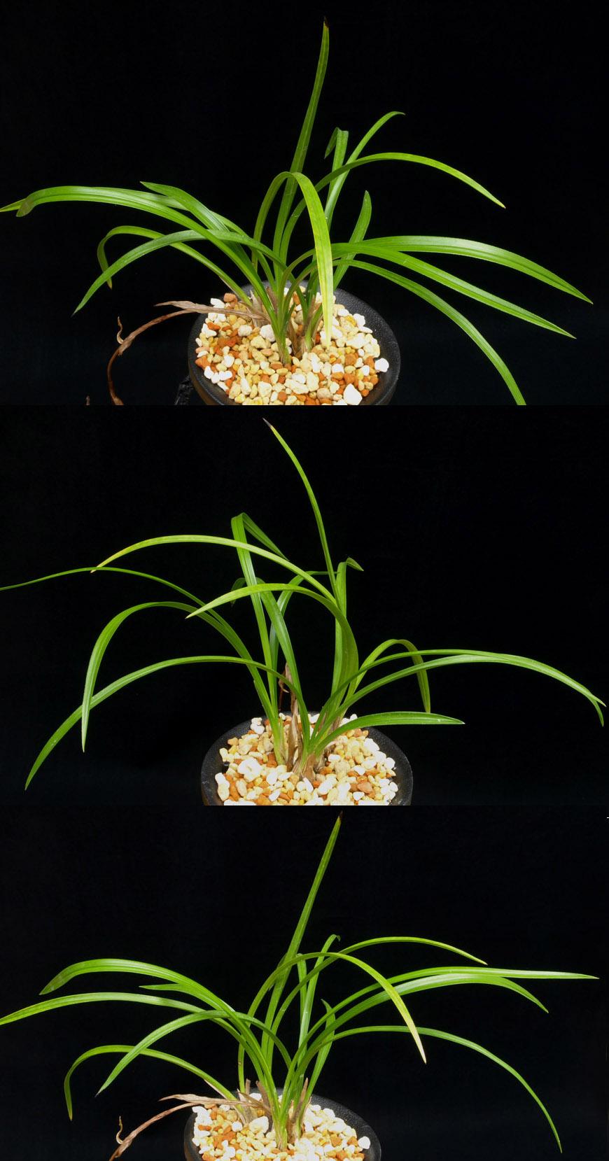 ������ ū������ �� �� �ֽ��ϴ�.