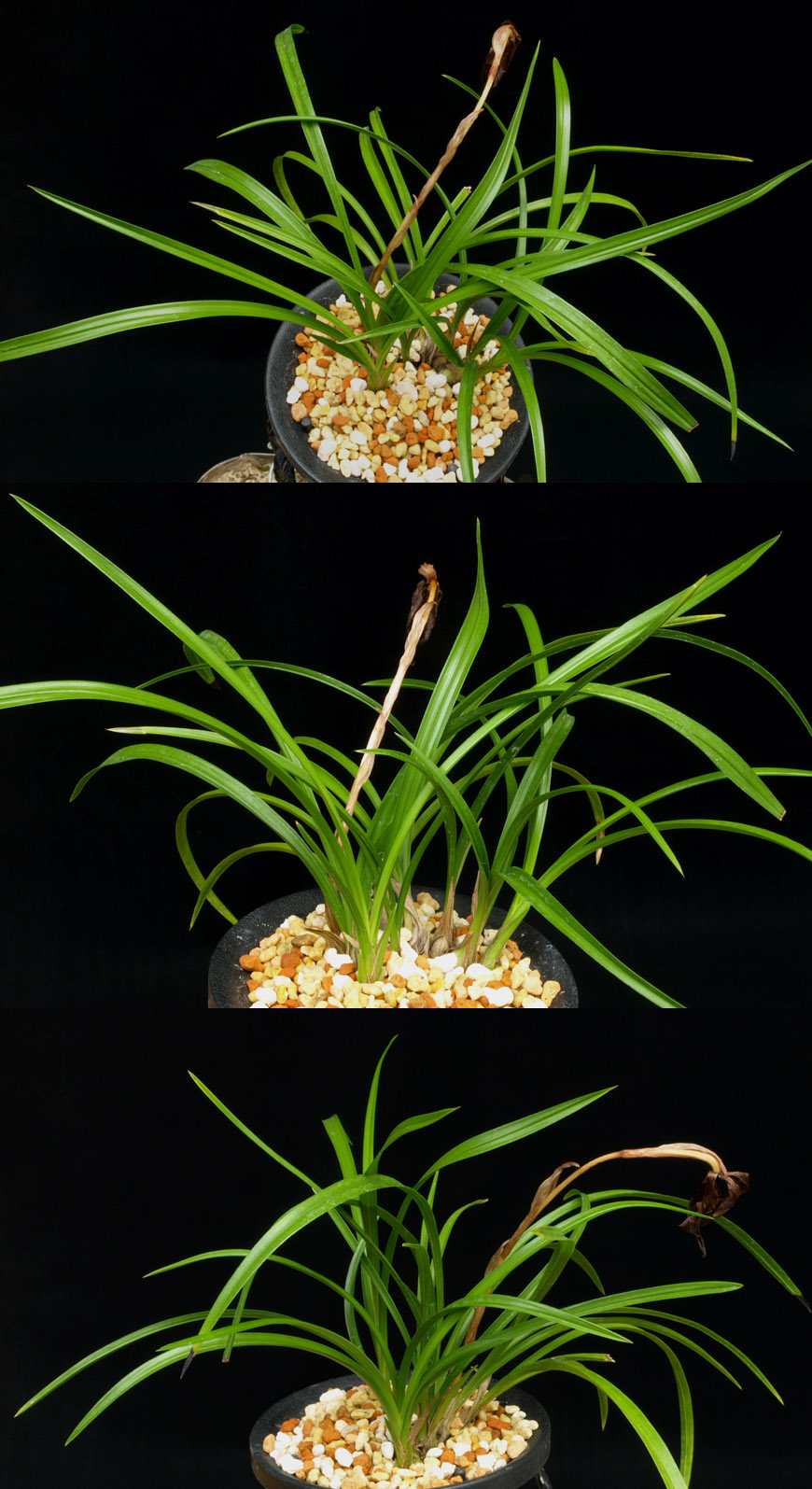 ������ ū������ �� �� �ֽ��ϴ�.