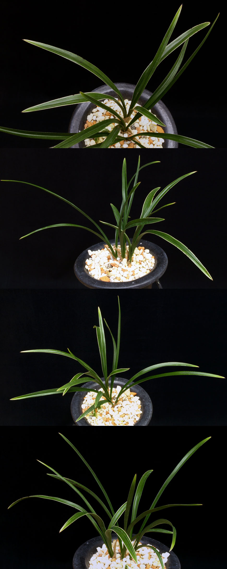 ������ ū������ �� �� �ֽ��ϴ�.