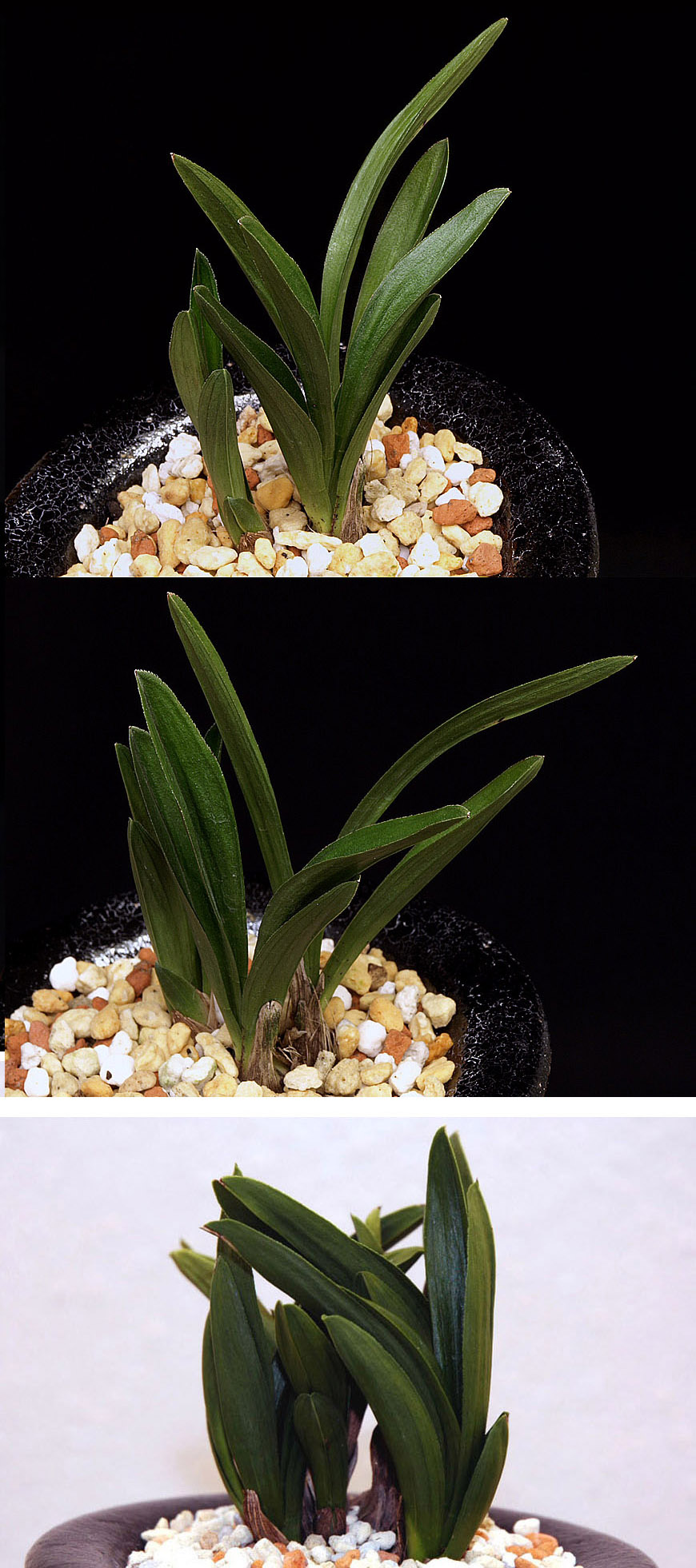 ������ ū������ �� �� �ֽ��ϴ�.