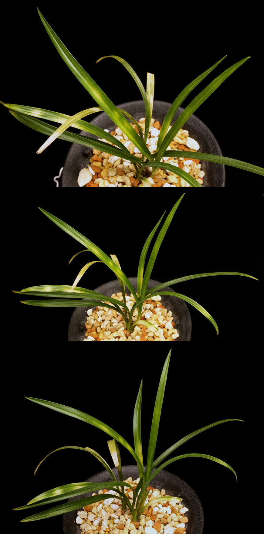 ������ ū������ �� �� �ֽ��ϴ�.