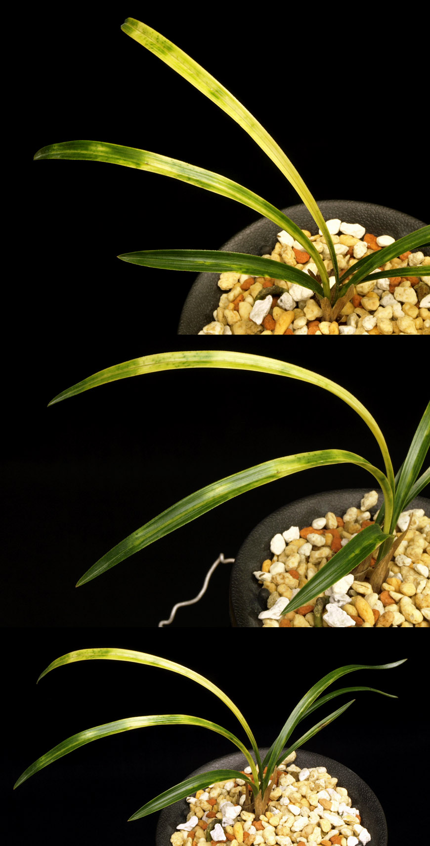 ������ ū������ �� �� �ֽ��ϴ�.