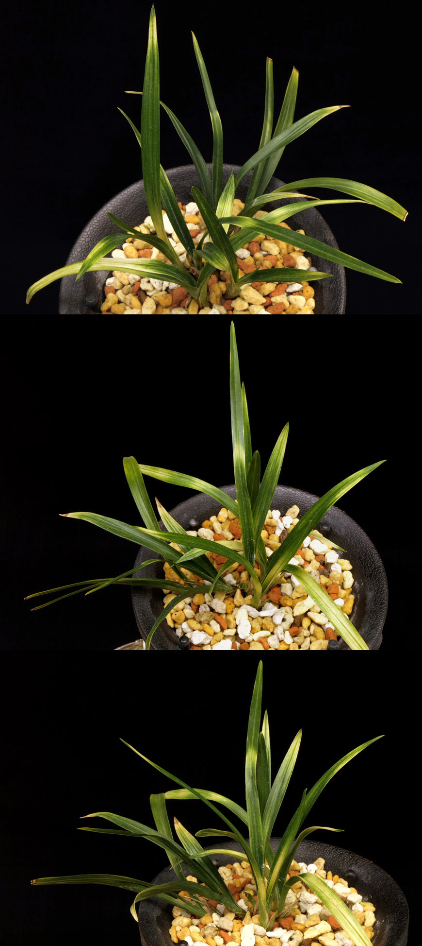 ������ ū������ �� �� �ֽ��ϴ�.