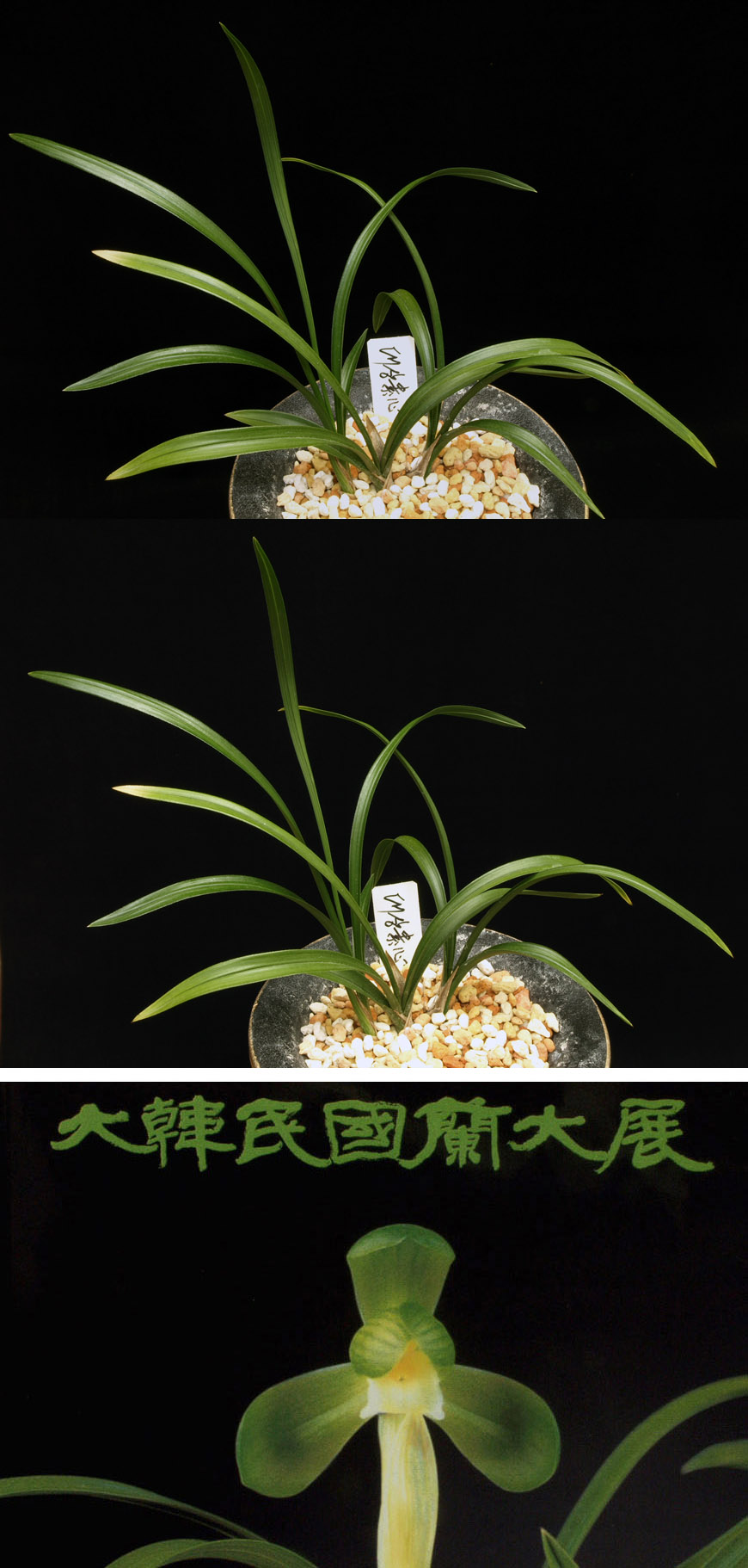 ������ ū������ �� �� �ֽ��ϴ�.