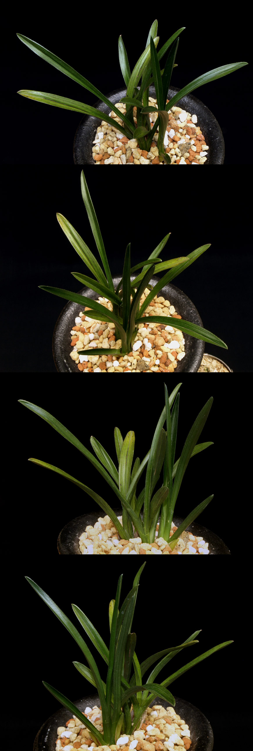 ������ ū������ �� �� �ֽ��ϴ�.