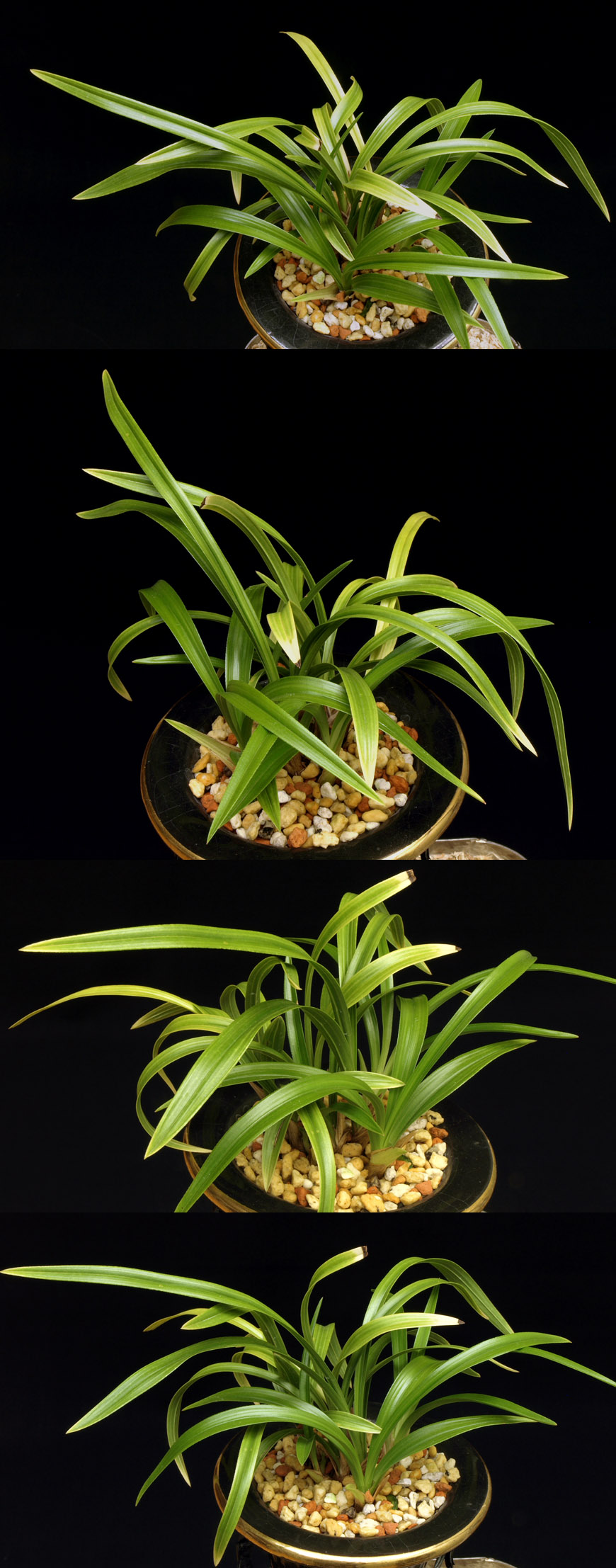 ������ ū������ �� �� �ֽ��ϴ�.