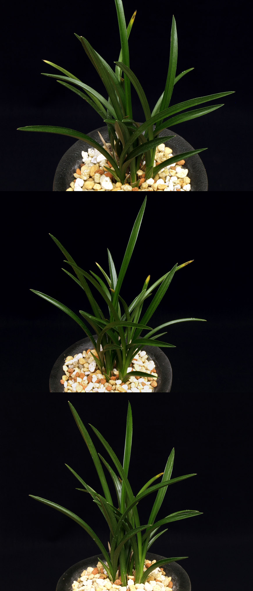 ������ ū������ �� �� �ֽ��ϴ�.