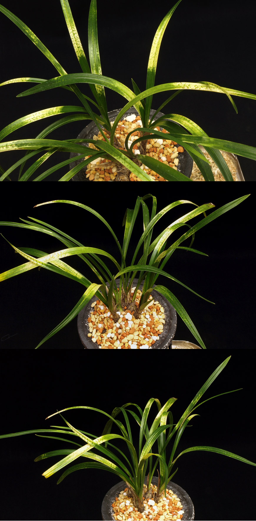 ������ ū������ �� �� �ֽ��ϴ�.