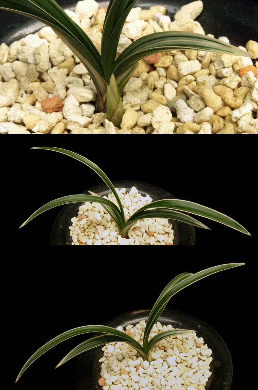 ������ ū������ �� �� �ֽ��ϴ�.