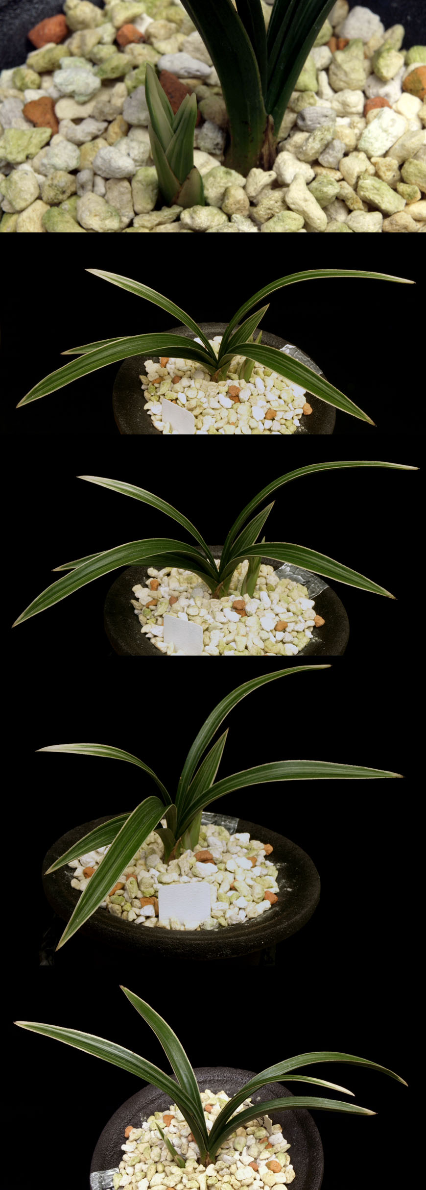 ������ ū������ �� �� �ֽ��ϴ�.