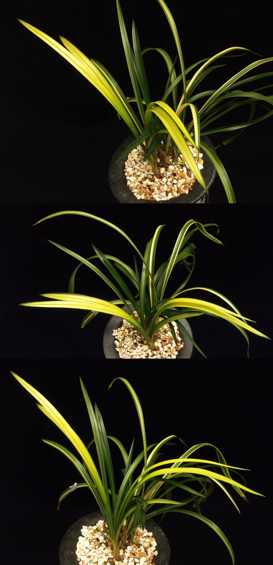 ������ ū������ �� �� �ֽ��ϴ�.