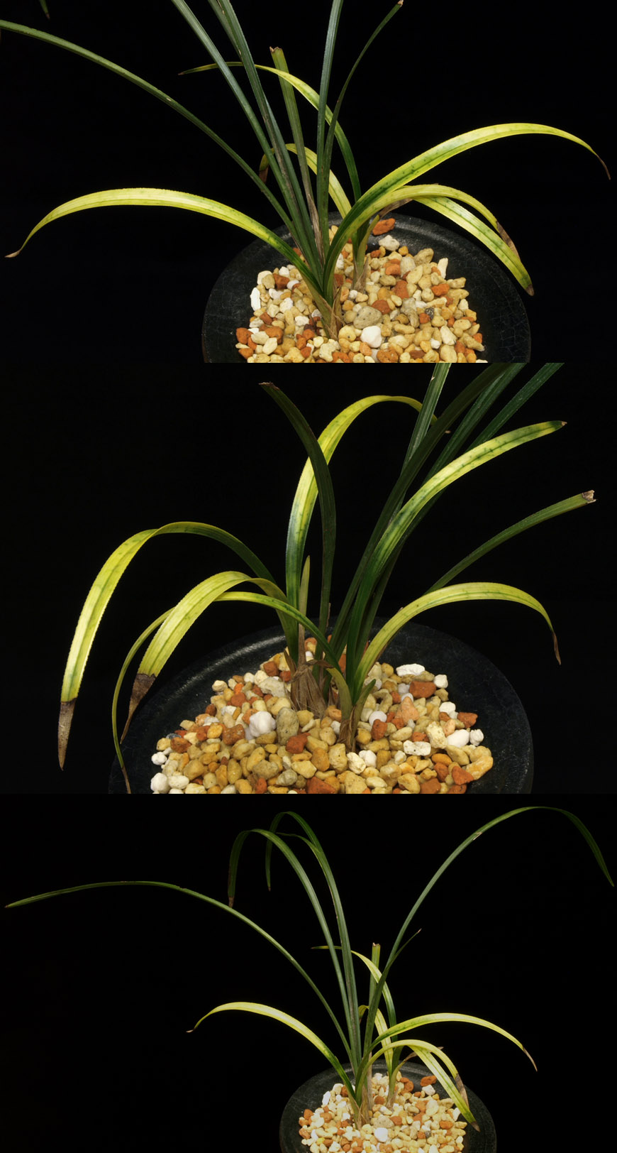 ������ ū������ �� �� �ֽ��ϴ�.