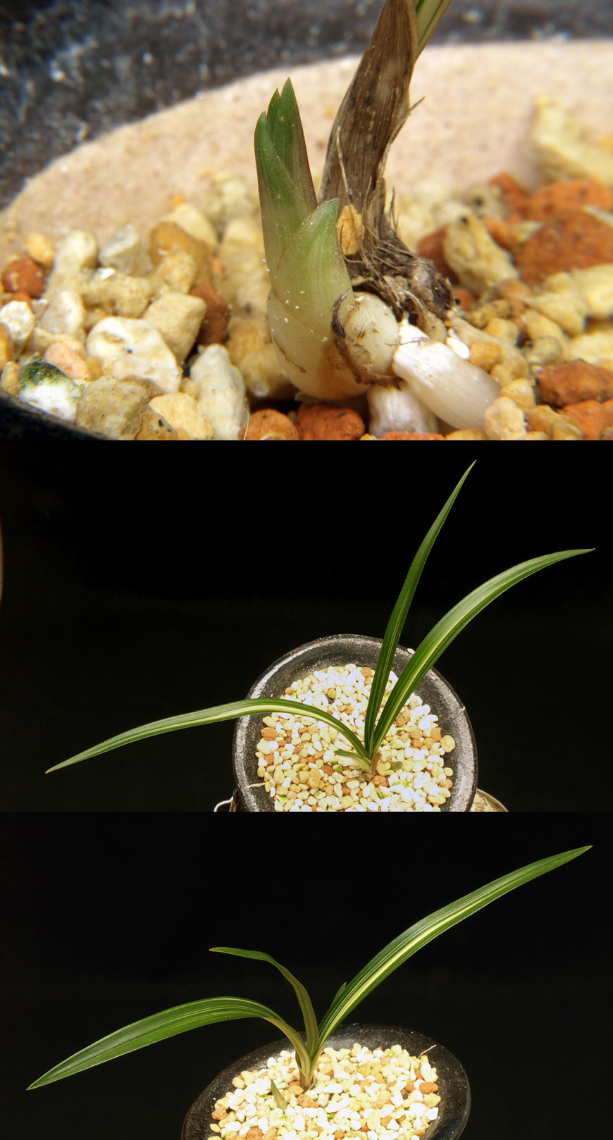 ������ ū������ �� �� �ֽ��ϴ�.