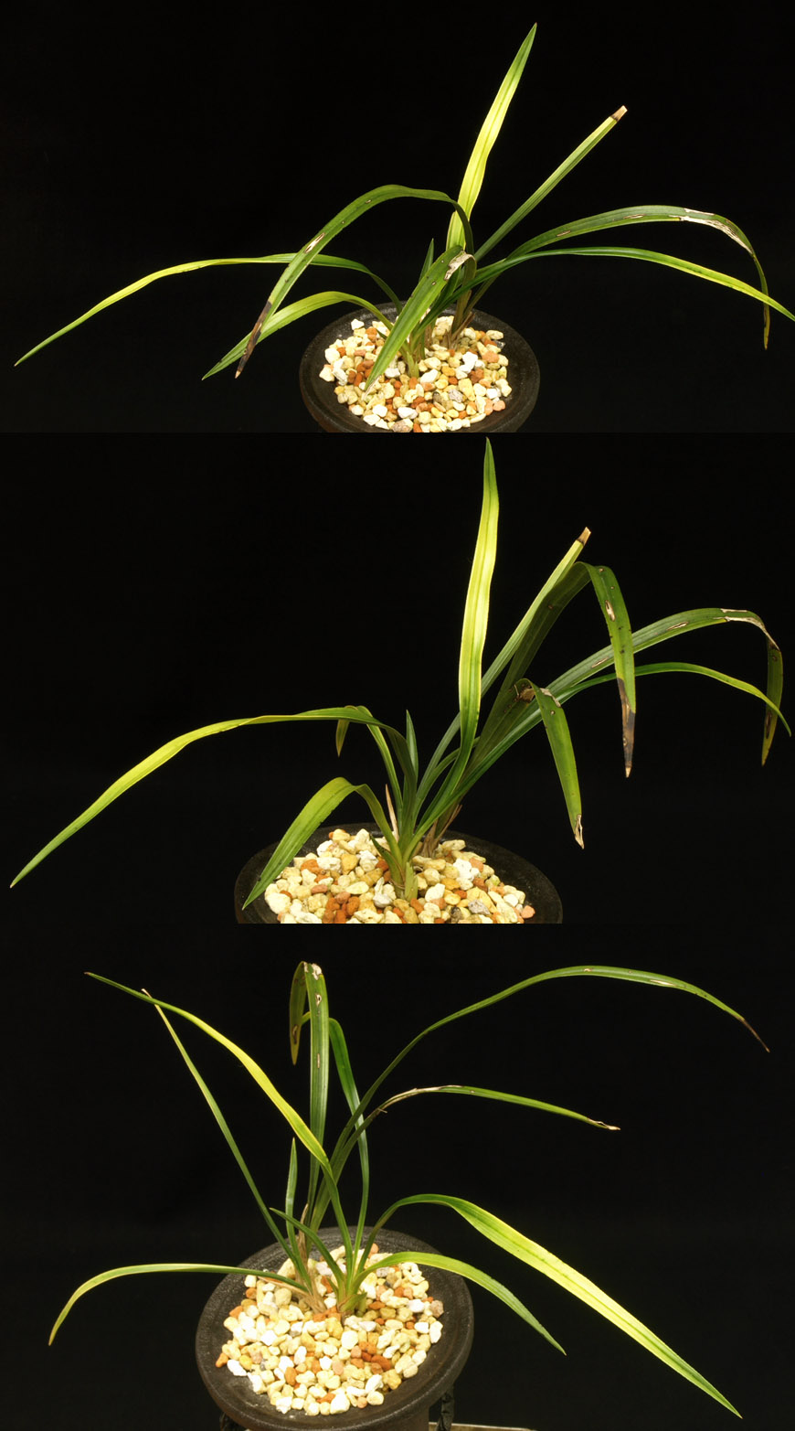 ������ ū������ �� �� �ֽ��ϴ�.