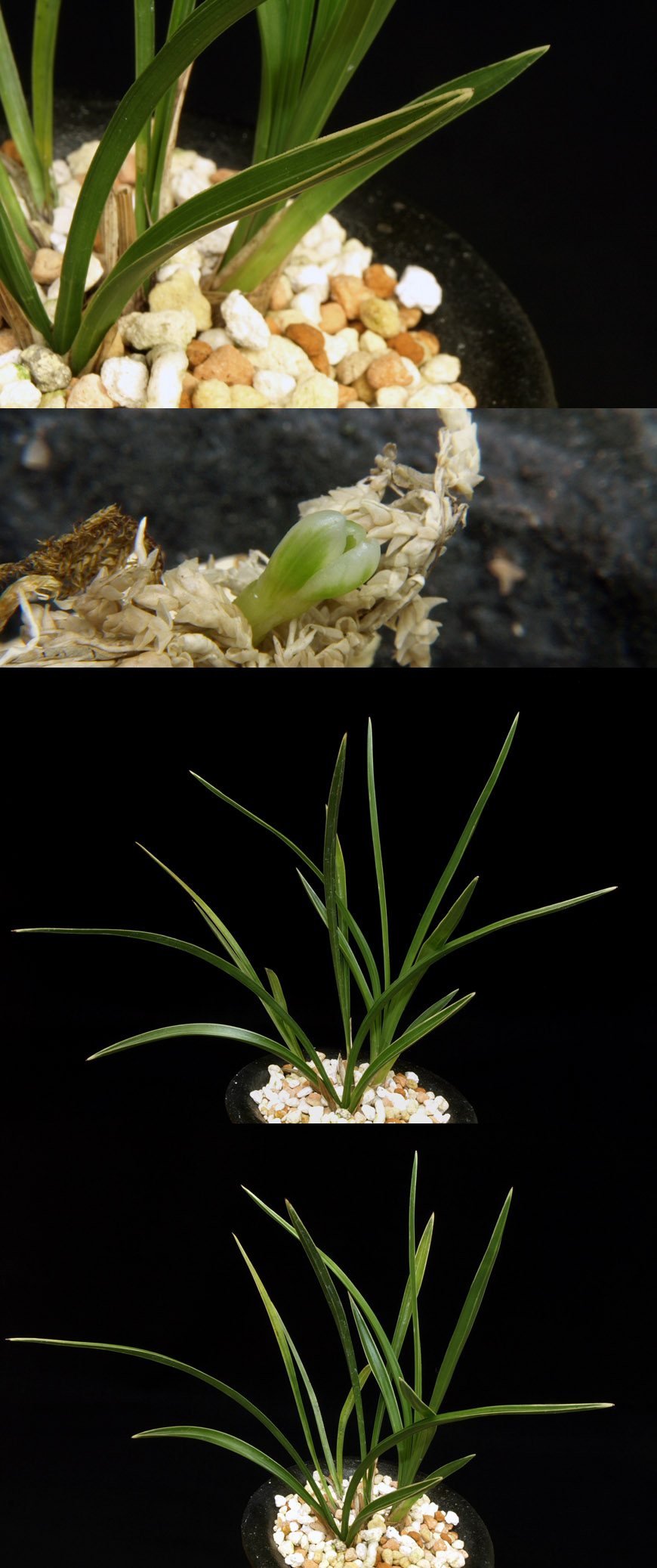 ������ ū������ �� �� �ֽ��ϴ�.