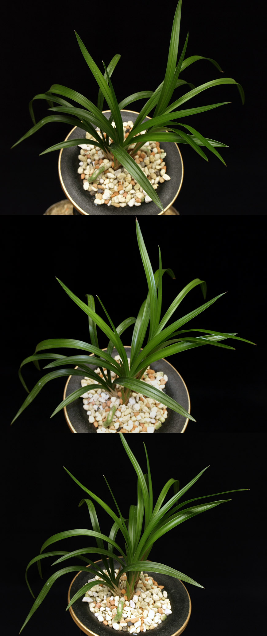 ������ ū������ �� �� �ֽ��ϴ�.