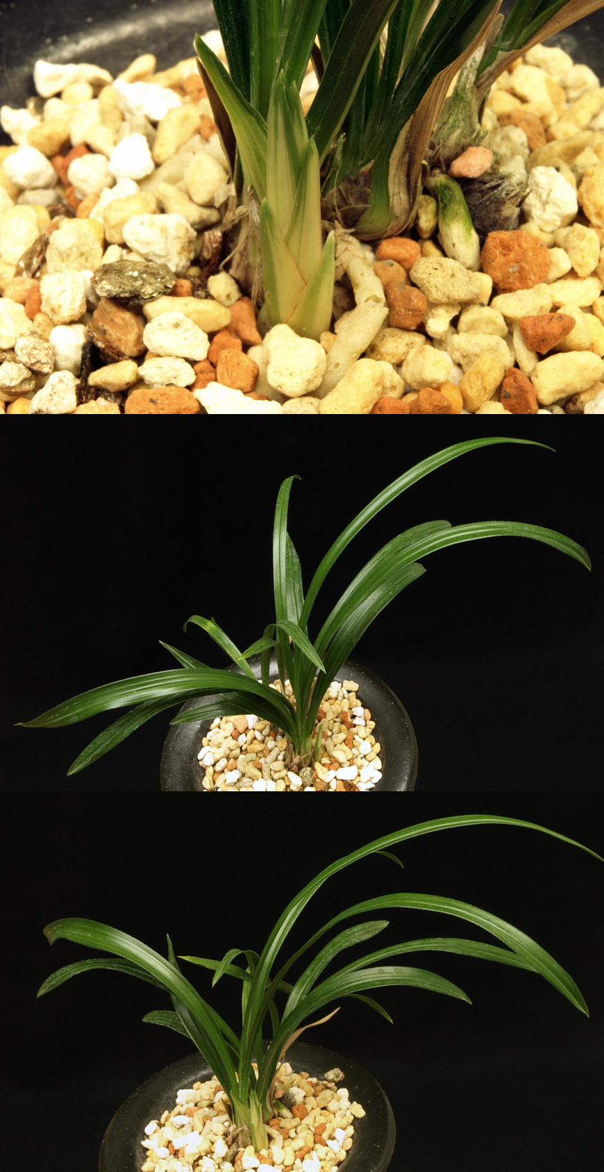 ������ ū������ �� �� �ֽ��ϴ�.