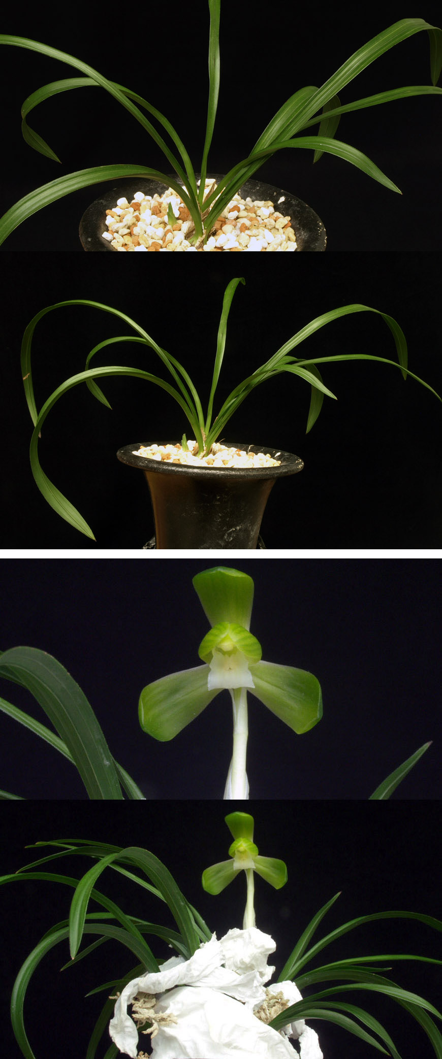 ������ ū������ �� �� �ֽ��ϴ�.