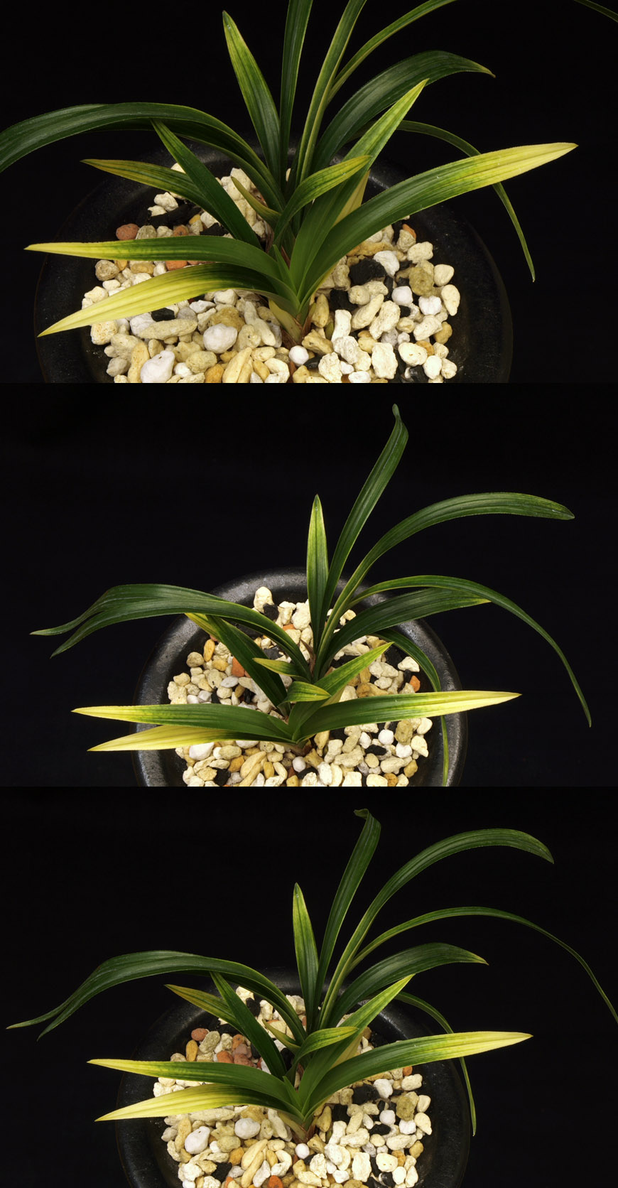 ������ ū������ �� �� �ֽ��ϴ�.