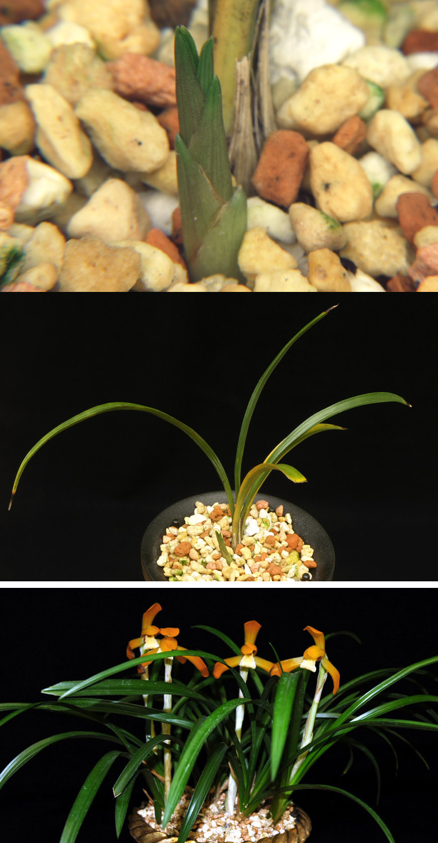 ������ ū������ �� �� �ֽ��ϴ�.