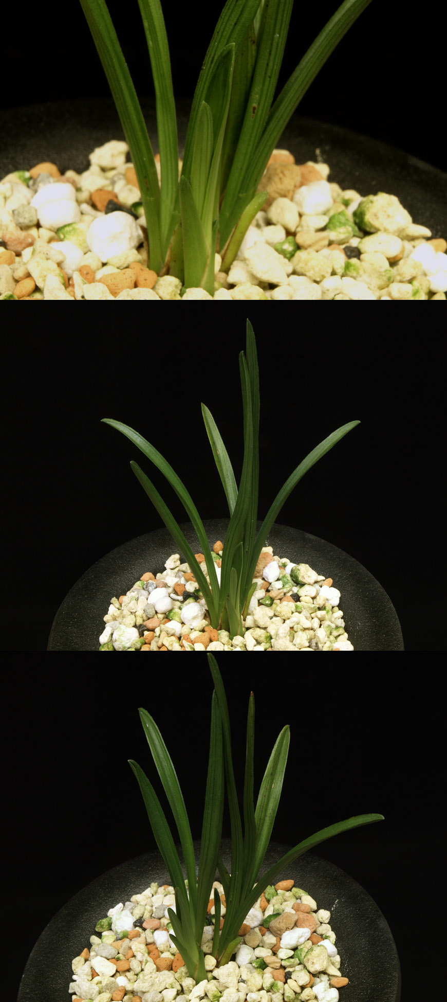 ������ ū������ �� �� �ֽ��ϴ�.