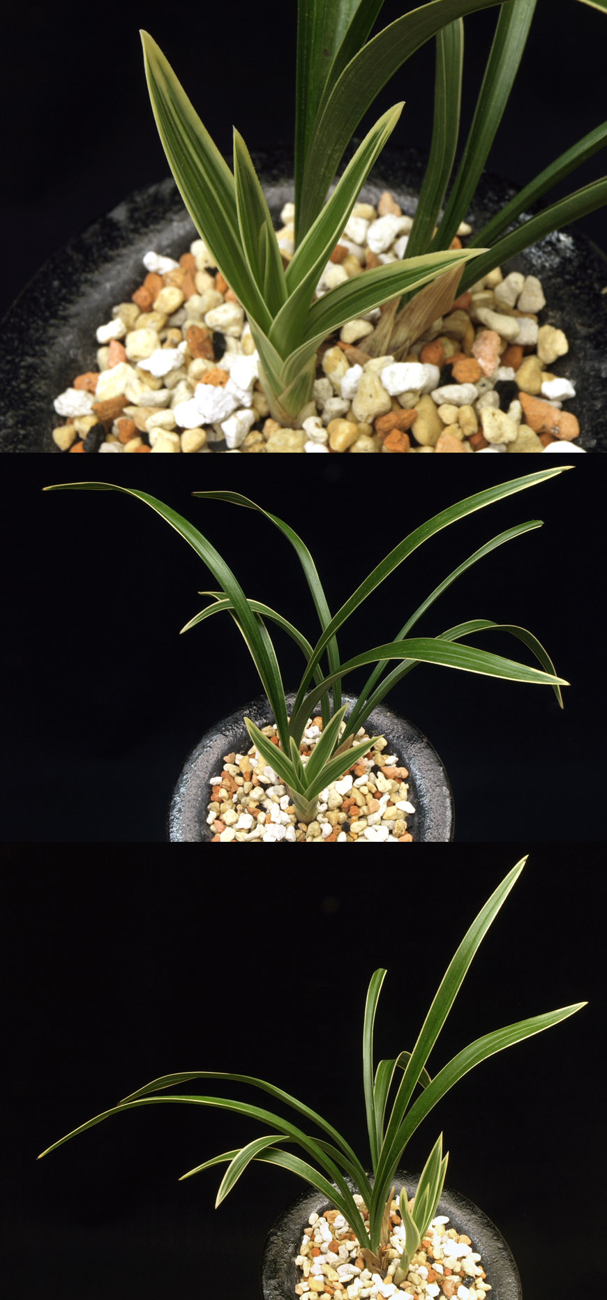 ������ ū������ �� �� �ֽ��ϴ�.