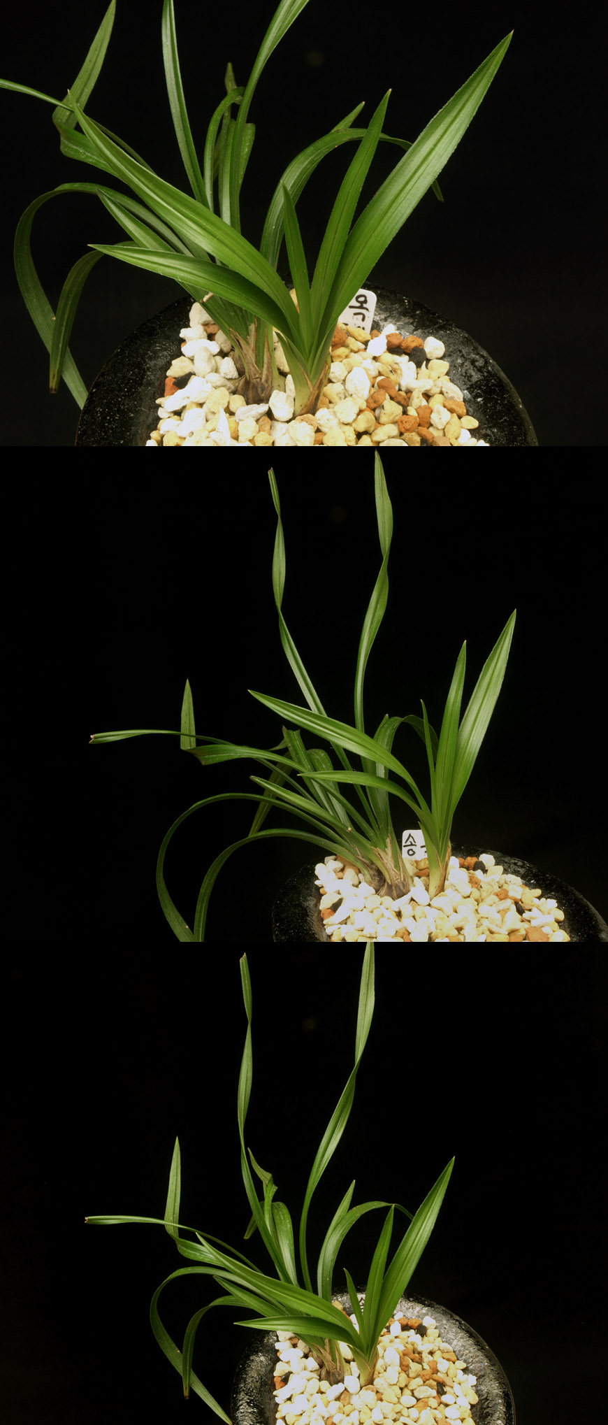 ������ ū������ �� �� �ֽ��ϴ�.