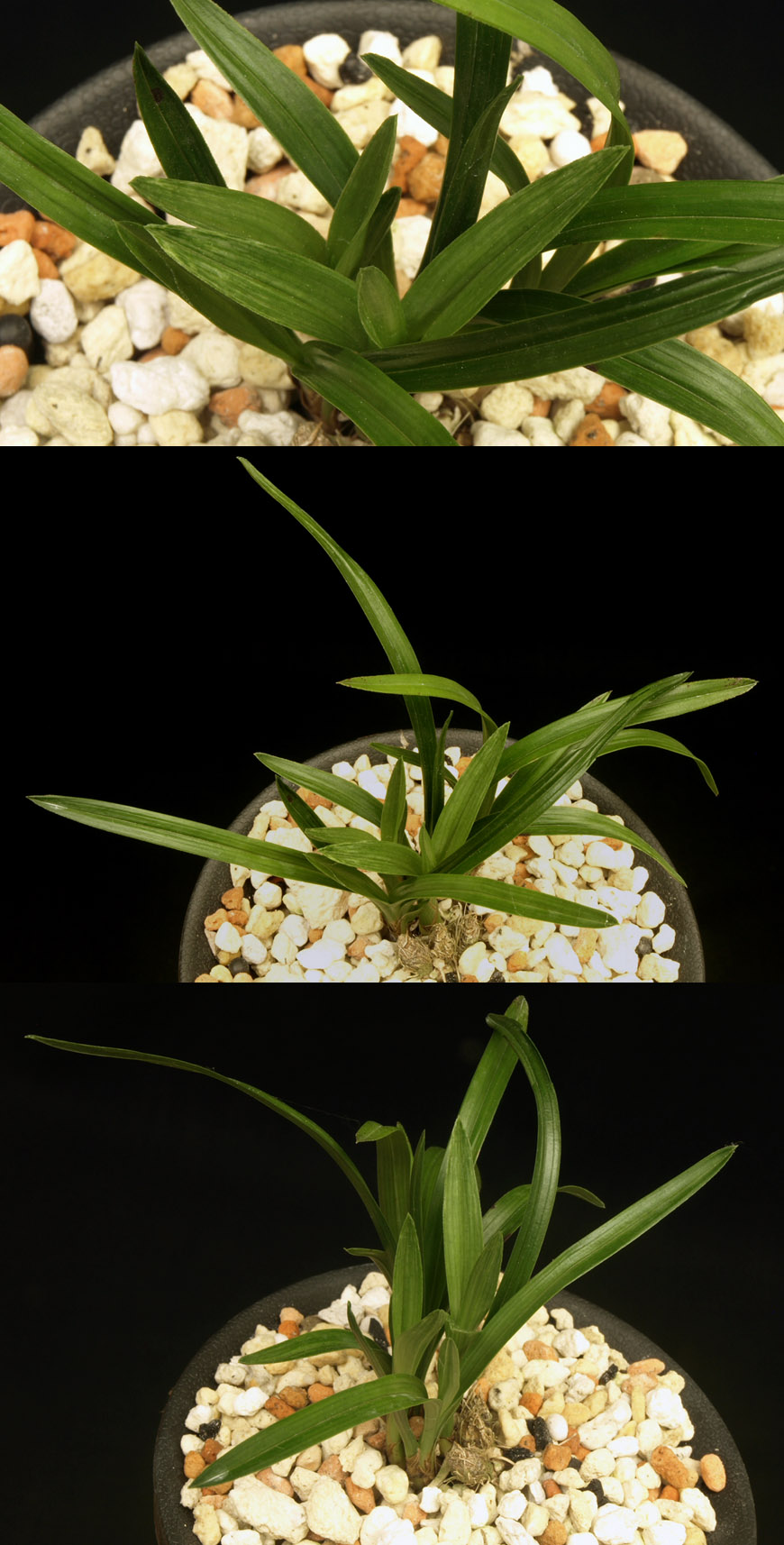 ������ ū������ �� �� �ֽ��ϴ�.