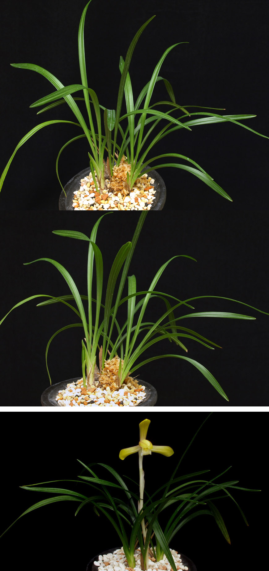 ������ ū������ �� �� �ֽ��ϴ�.