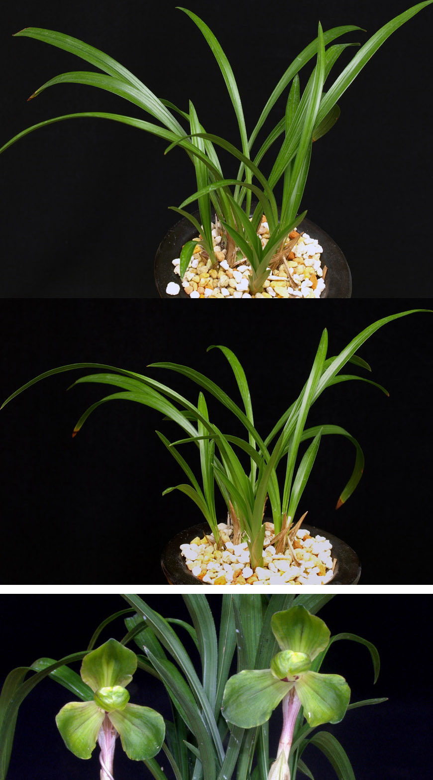 ������ ū������ �� �� �ֽ��ϴ�.