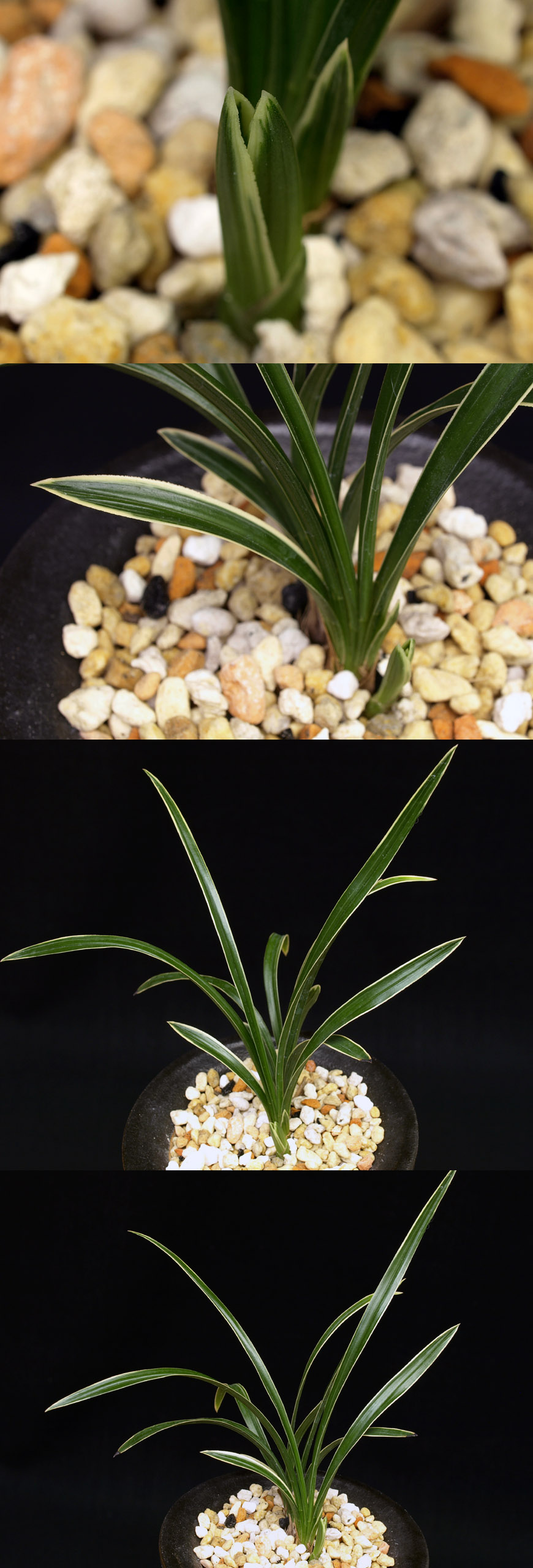 ������ ū������ �� �� �ֽ��ϴ�.