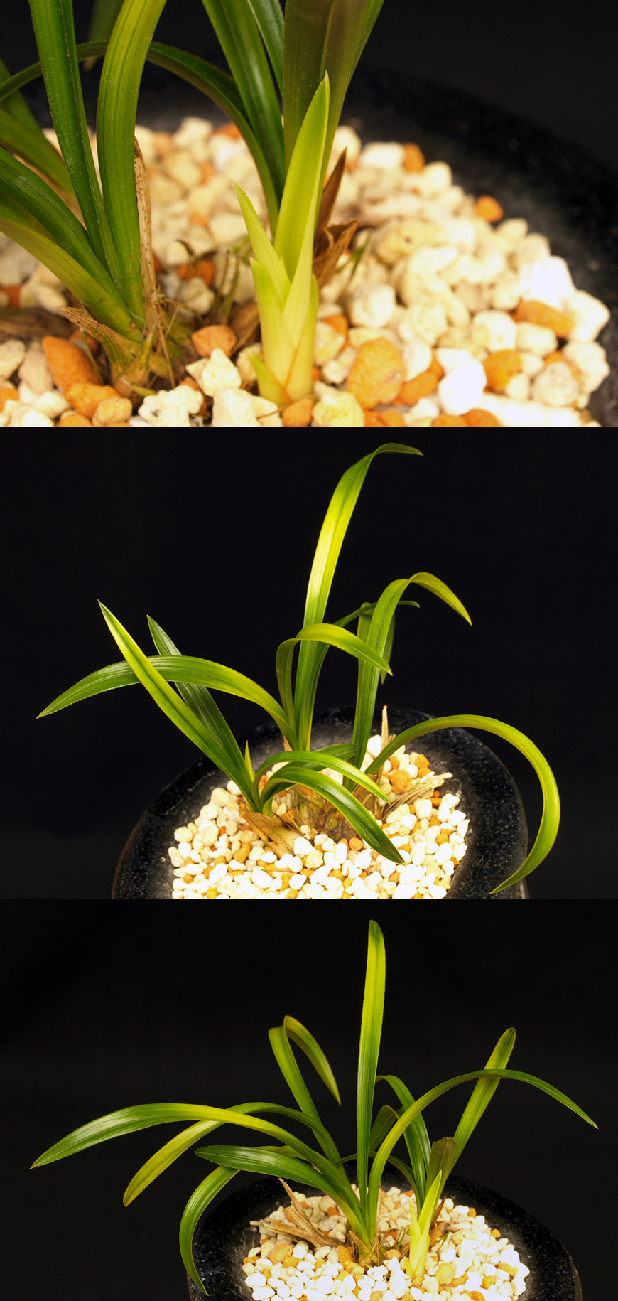 ������ ū������ �� �� �ֽ��ϴ�.