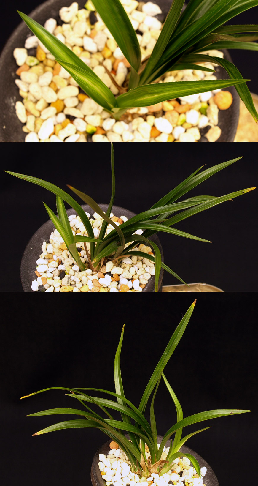 ������ ū������ �� �� �ֽ��ϴ�.