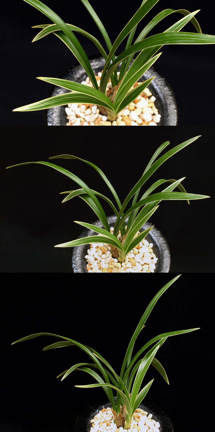 ������ ū������ �� �� �ֽ��ϴ�.