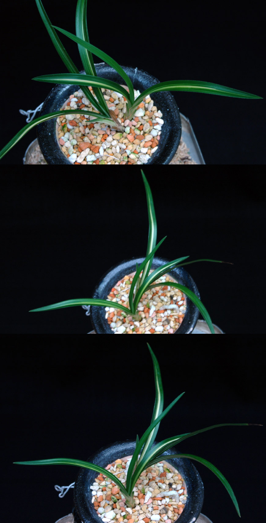 ������ ū������ �� �� �ֽ��ϴ�.