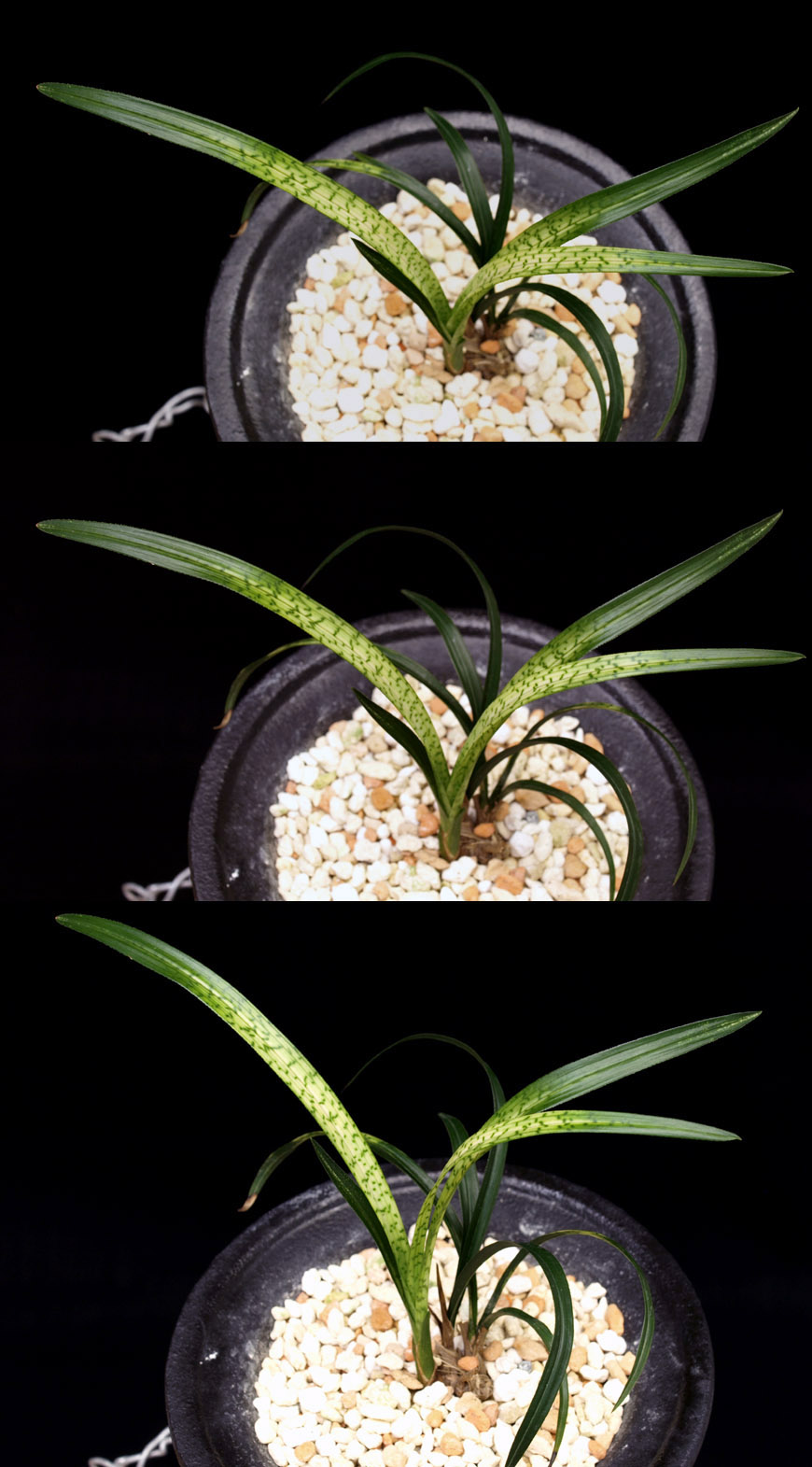 ������ ū������ �� �� �ֽ��ϴ�.