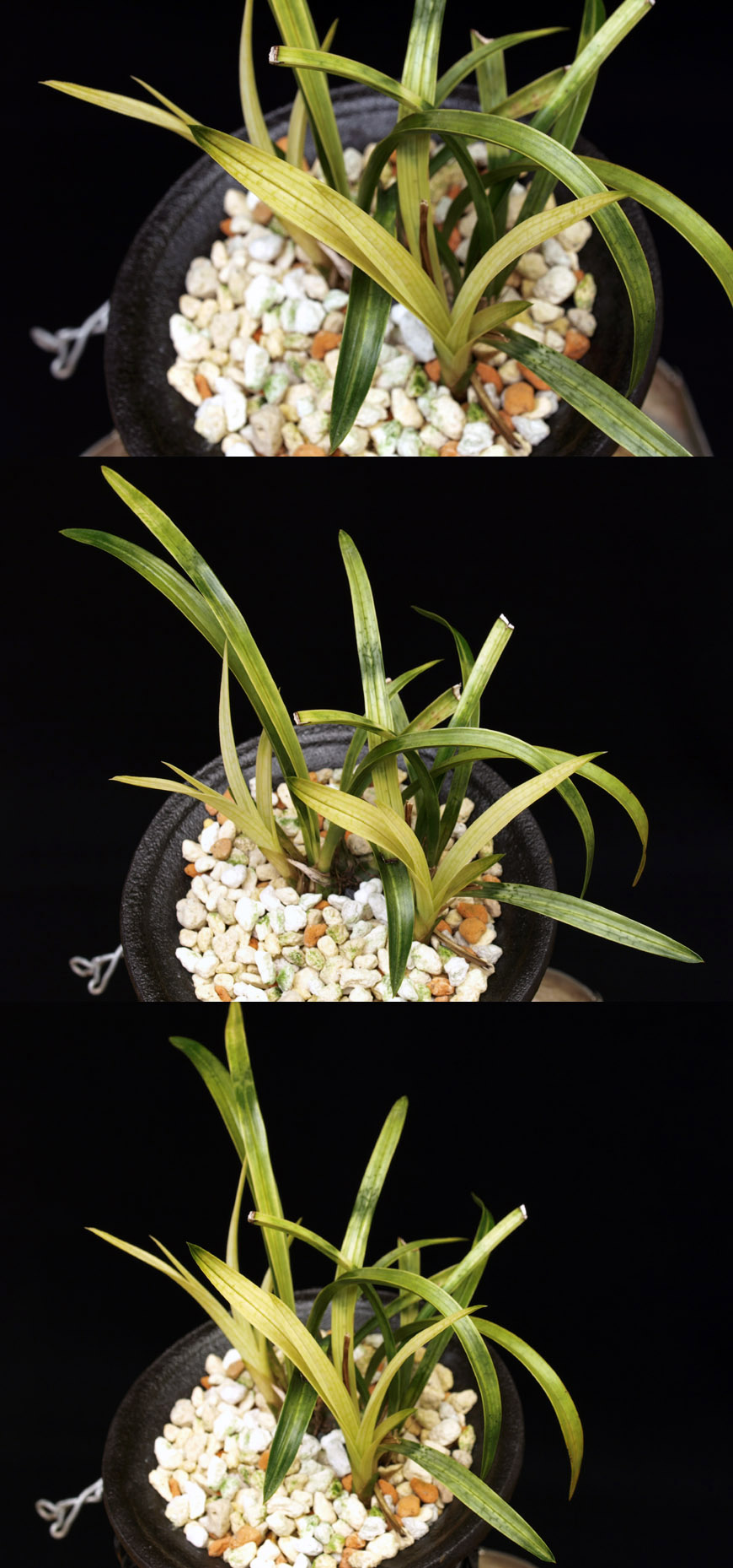 ������ ū������ �� �� �ֽ��ϴ�.