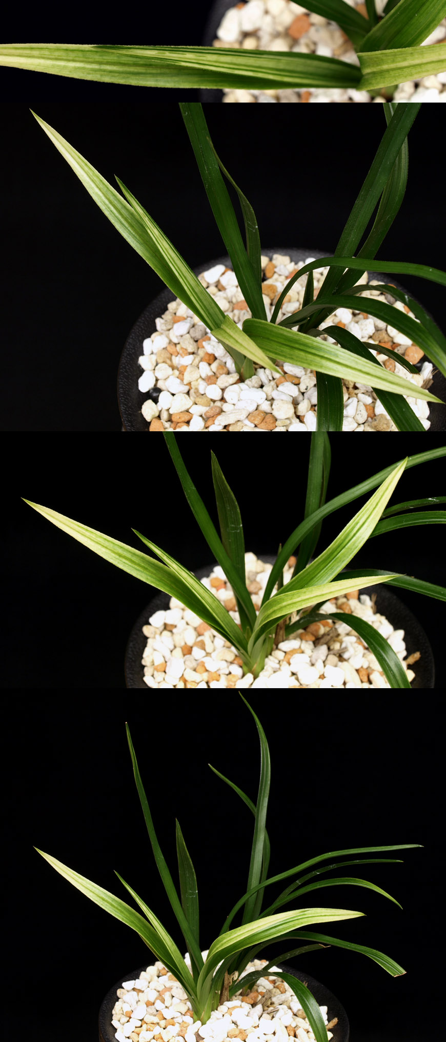 ������ ū������ �� �� �ֽ��ϴ�.