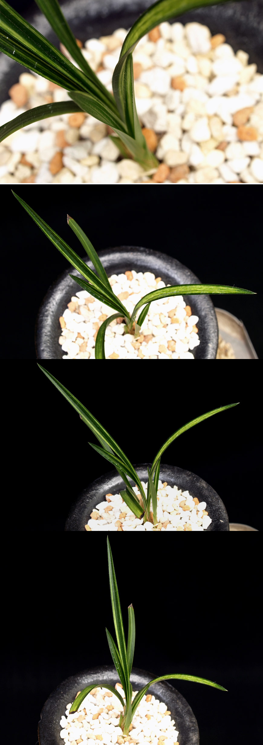 ������ ū������ �� �� �ֽ��ϴ�.