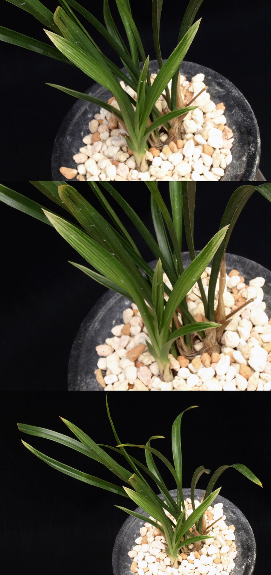 ������ ū������ �� �� �ֽ��ϴ�.