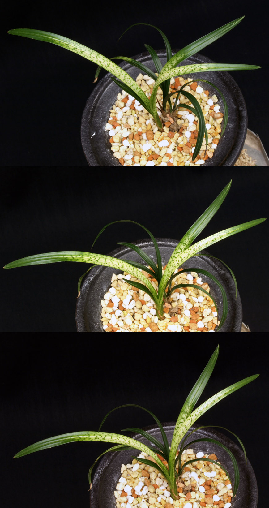 ������ ū������ �� �� �ֽ��ϴ�.