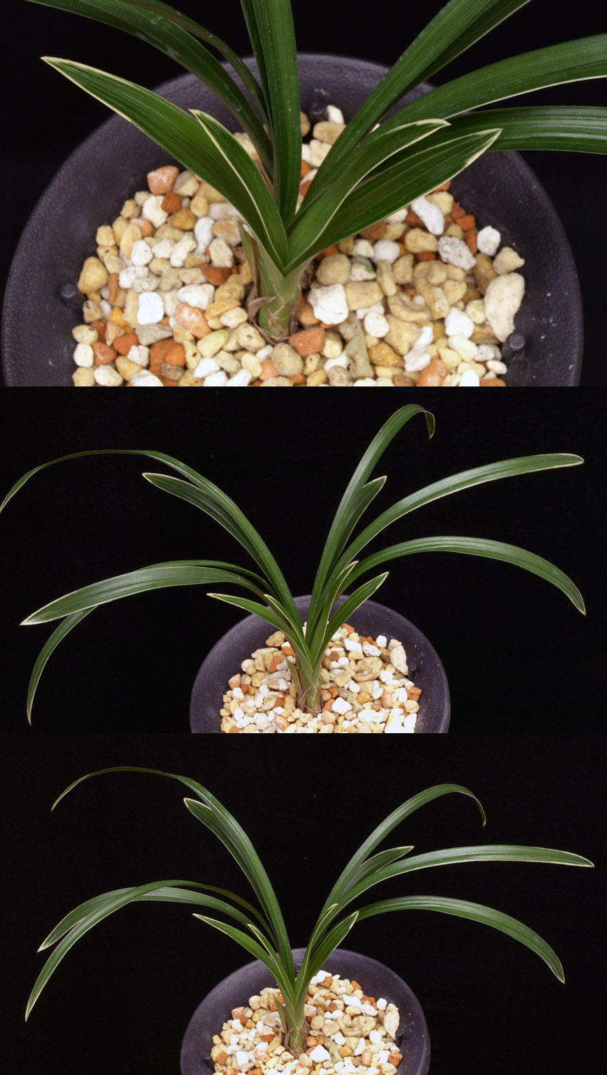 ������ ū������ �� �� �ֽ��ϴ�.